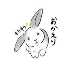 [LINEスタンプ] ホーランドロップイヤーの日常