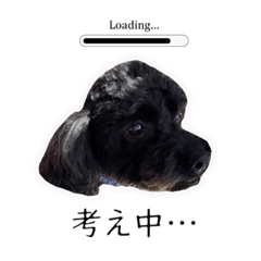 [LINEスタンプ] 奈良県産ミックス犬りおん