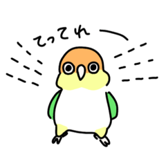 [LINEスタンプ] シロハラインコとズグロシロハラインコ