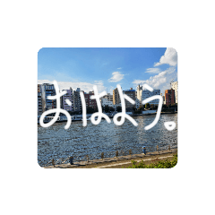 [LINEスタンプ] しーさんのスタンプ2