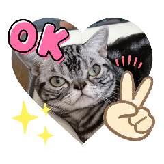[LINEスタンプ] The cutest Jermaine