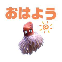 [LINEスタンプ] いそぎん〜安住の地を求めて〜