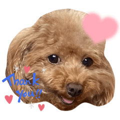 [LINEスタンプ] あんずともずく2