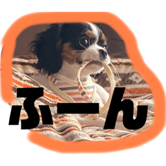 [LINEスタンプ] キャバリア・ピナイ