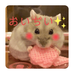 [LINEスタンプ] ハムスターのぽぽぽちゃん
