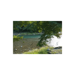 [LINEスタンプ] 緑 河川 飯能河原 自然 山 清流 写真の画像（メイン）