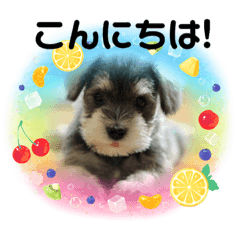 [LINEスタンプ] キャンディLove