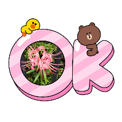 [LINEスタンプ] モコフラワー
