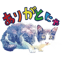 [LINEスタンプ] にゃーちゃん達の毎日の画像（メイン）