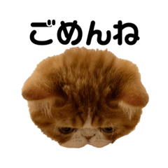 [LINEスタンプ] ボクは、こま①