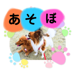 [LINEスタンプ] かっかとちゃみとはむちーの日常会話