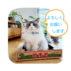 [LINEスタンプ] ルビー＆ソラの日常