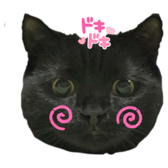 [LINEスタンプ] 黒猫くうちゃん