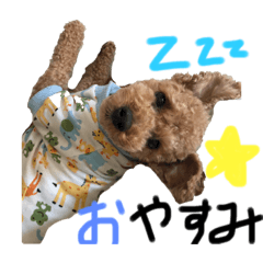 [LINEスタンプ] ボク、だいちゃん！！