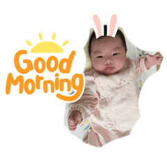 [LINEスタンプ] リノりのスタンプ