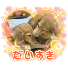 [LINEスタンプ] 瑠璃と心の日常＆イベント