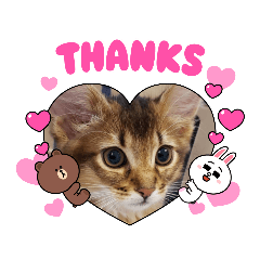 [LINEスタンプ] RonRonBOYS