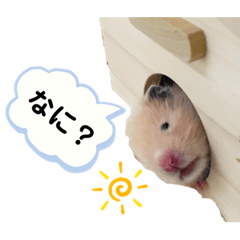 [LINEスタンプ] ハム子のポテトさん
