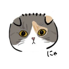 [LINEスタンプ] ゆるゆるかわいい三毛猫の日々【日常】