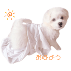 [LINEスタンプ] コロン君とお話 ①