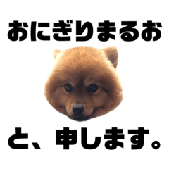 [LINEスタンプ] おにぎりまるおの画像（メイン）
