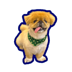 [LINEスタンプ] 愛犬ボス4