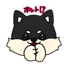 [LINEスタンプ] たろまるスタンプ 第1弾