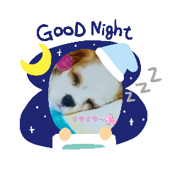 [LINEスタンプ] おやすみキャバリア