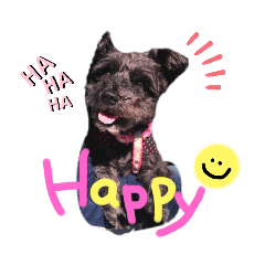 [LINEスタンプ] ここちゃろん