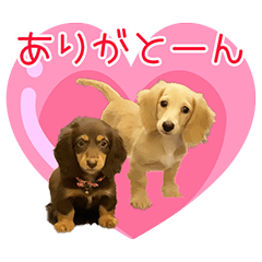 [LINEスタンプ] プッティファ♥