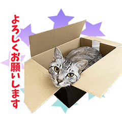 [LINEスタンプ] さば スタンプ