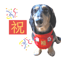 [LINEスタンプ] チーラー