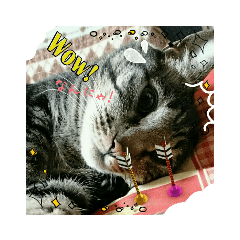 [LINEスタンプ] ほのぼのムーちゃん❤