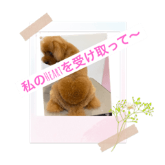 [LINEスタンプ] Sakura family╰(*´︶`*)╯♡