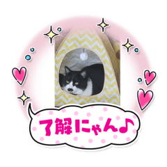 [LINEスタンプ] いってらしゃい