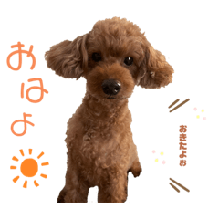 [LINEスタンプ] りっちゃん ①