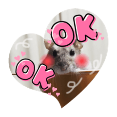 [LINEスタンプ] ハムスターのぽぽぽちゃん2