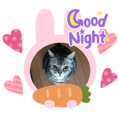 [LINEスタンプ] みぬ2