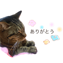 [LINEスタンプ] おれれお Part2