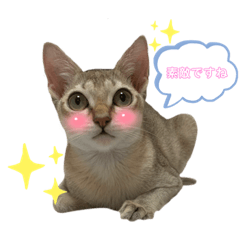 [LINEスタンプ] うちのMARU2。