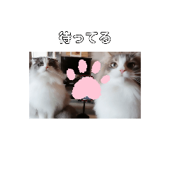 [LINEスタンプ] リオレオスタンプ♡