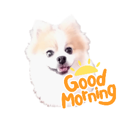 [LINEスタンプ] まろ丸