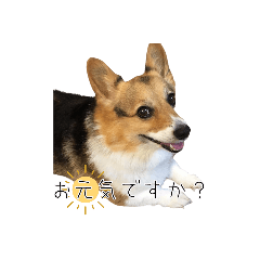 [LINEスタンプ] ハッピー＆メイラ