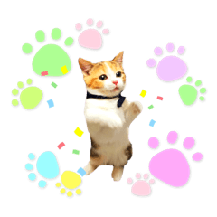 [LINEスタンプ] 敬語のナッツ
