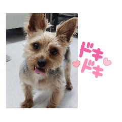 [LINEスタンプ] おおくぼミルク 2