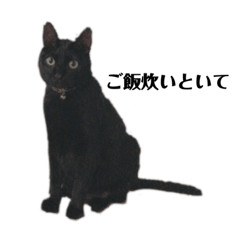 [LINEスタンプ] にゃんふく