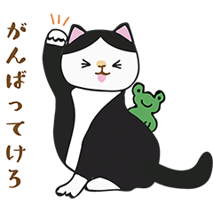 [LINEスタンプ] ハチワレ猫の山形弁