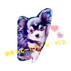 [LINEスタンプ] TJXTJK