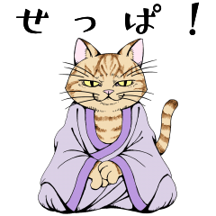 [LINEスタンプ] ねこらかん チャツネ Designed by Taishi