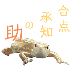 [LINEスタンプ] カナヘビといっしょ2